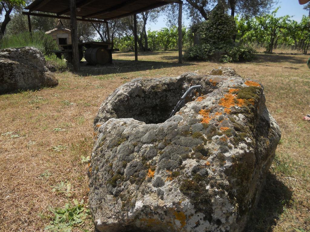 Agriturismo Tenuta Roccaccia Pitigliano Zewnętrze zdjęcie
