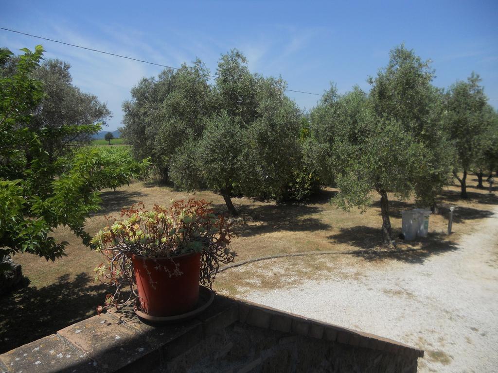 Agriturismo Tenuta Roccaccia Pitigliano Zewnętrze zdjęcie